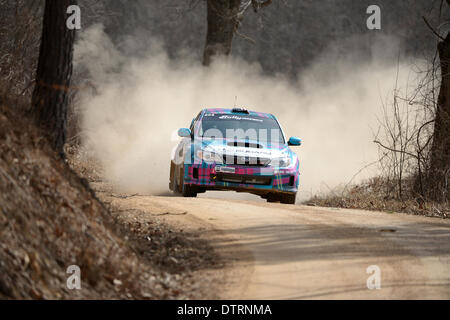 Salem, Missouri, Stati Uniti d'America. Il 22 febbraio 2014. Nick Roberts durante la concorrenza nel Rally America, 22 febbraio 2014 in Salem Missouri Credit: Carlos Pemium di immagini / Alamy Live News Foto Stock