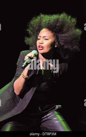 Houston, Texas, Stati Uniti d'America. 19 feb 2014. Pinnock Leigh-Anne della band poco Mix, dalla televisione mostra il fattore X, sono state la seconda fascia di apertura per la Demi Lovato luci al neon tour presso il Toyota Center il 19 febbraio 2014 in Houston Texas - USA © Manuel Nauta/NurPhoto/ZUMAPRESS.com/Alamy Live News Foto Stock