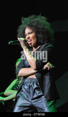 Houston, Texas, Stati Uniti d'America. 19 feb 2014. Pinnock Leigh-Anne della band poco Mix, dalla televisione mostra il fattore X, sono state la seconda fascia di apertura per la Demi Lovato luci al neon tour presso il Toyota Center il 19 febbraio 2014 in Houston Texas - USA © Manuel Nauta/NurPhoto/ZUMAPRESS.com/Alamy Live News Foto Stock