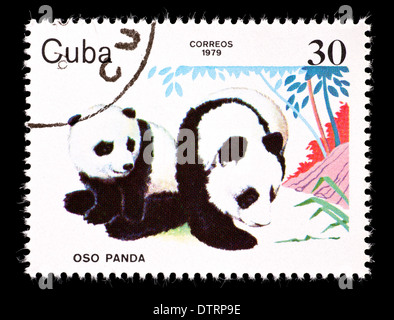 Francobollo da Cuba raffiguranti pandas. Foto Stock