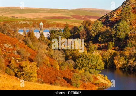 Elan Valley, Powys, Mid Wales, Regno Unito Foto Stock