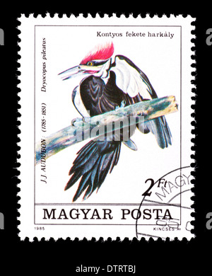 Francobollo da Ungheria raffiguranti Picchio Pileated (Dryocopus pileatus), rilasciato per John James Audubon. Foto Stock