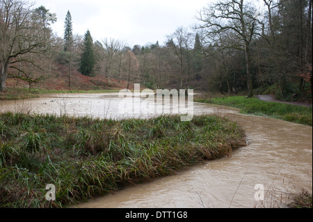 Le inondazioni del fiume Loder, West Sussex, Regno Unito. Febbraio 2014 Foto Stock