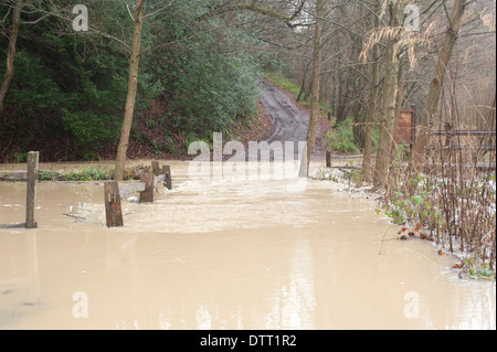 Le inondazioni del fiume Loder, West Sussex, Regno Unito. Febbraio 2014 Foto Stock