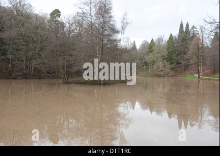 Le inondazioni del fiume Loder, West Sussex, Regno Unito. Febbraio 2014 Foto Stock