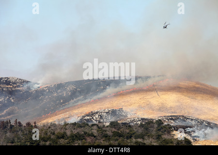 Bush incendio presso la montagna Foto Stock