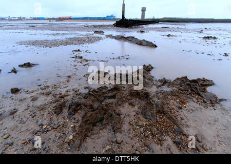 La foresta sommersa, totale di circa 40 alberi, sulla spiaggia di Cleethorpes. Foto Stock