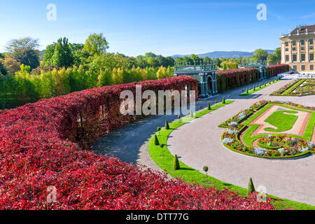 Il bel Palazzo di Schonbrunn a Vienna Foto Stock