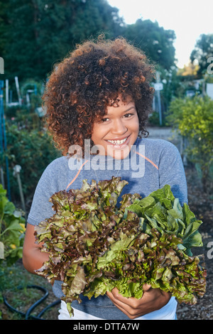 Razza mista donna raccolta di lattuga in giardino Foto Stock