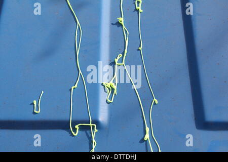 Roma, Italia. Il 23 febbraio 2014. Giorno di carnevale in Via Oderisi da Gubbio street nella zona di Marconi di Roma. Credito: Gari Wyn Williams / Alamy Live News Foto Stock