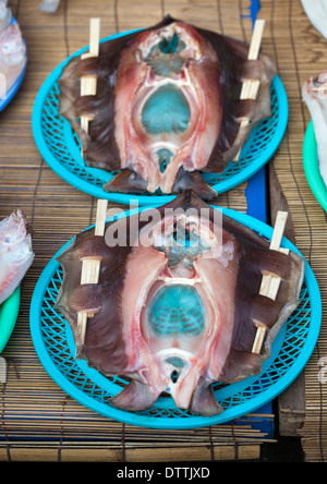 Ray Pesci in vendita presso Jagalchi Seafood Market Busan Corea del Sud Foto Stock