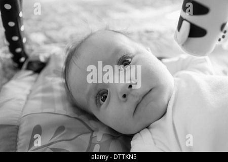 Caucasian baby boy posa su una coperta Foto Stock