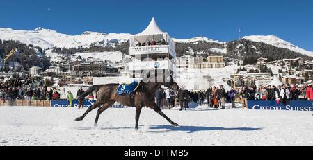 St Moritz, Svizzera. 23 feb 2014. White Turf Horse Racing sale riunioni. Dopo una caduta dopo 50 metri di inizio, Jockey SILVIA CASANOVA il cavallo nr. 3 CAP SIZUN continua e termina con il vincitore della corsa di cavalli nr. 7 la sicurezza futura nel Grand Prix di ST.MORITZ presso il White Turf 2014 in St.Moritz, domenica 23 febbraio, 2014 © Azione Sport Plus/Alamy Live News Foto Stock