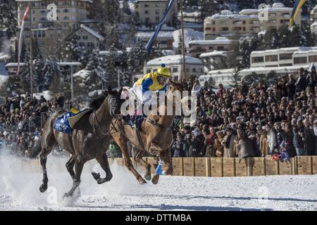 St Moritz, Svizzera. 23 feb 2014. White Turf Horse Racing sale riunioni. Dopo una caduta dopo 50 metri di inizio, Jockey SILVIA CASANOVA il cavallo nr. 3 CAP SIZUN continua e termina con il vincitore della corsa di cavalli nr. 7 la sicurezza futura nel Grand Prix di ST.MORITZ presso il White Turf 2014 in St.Moritz, domenica 23 febbraio, 2014 © Azione Sport Plus/Alamy Live News Foto Stock