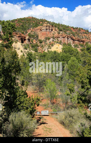 Tesori del New Mexico Foto Stock