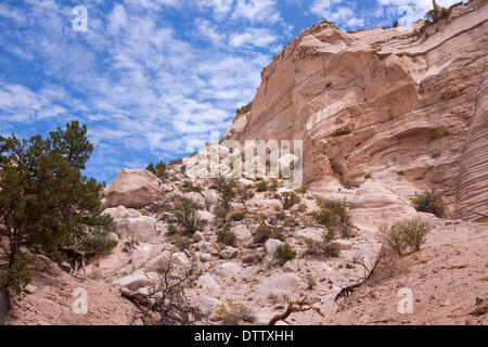 Più tesori del New Mexico Foto Stock