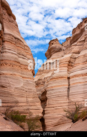 Più tesori del New Mexico Foto Stock