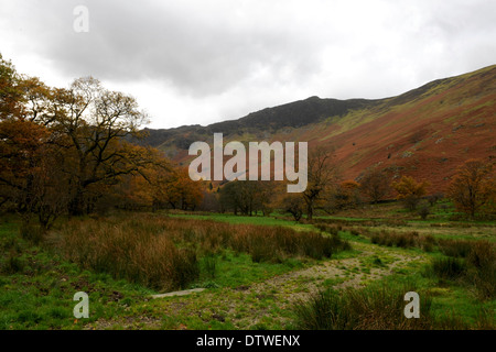 Il Fells di Borrowdale cercando fino a Maiden Moor nel Parco Nazionale del Distretto dei Laghi Foto Stock