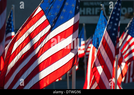 Stati Uniti d'America, Arkansas, Heber Springs, Stati Uniti d'America bandiere Foto Stock