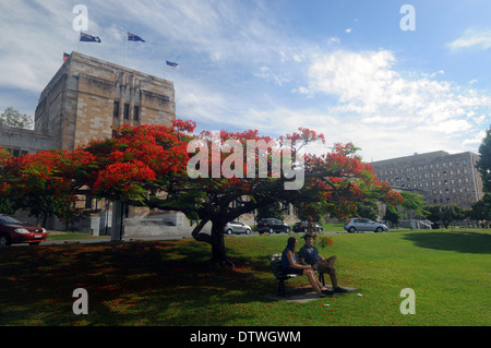 Studenti e fioritura tree (Ponciana) sul campus della University of Queensland, Brisbane, Australia. N. PR o MR Foto Stock