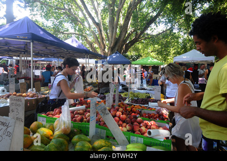 Pressione di stallo di frutta all'aperto mercato weeked nell'ombra di enormi alberi, West End, Brisbane, Queensland, Australia. No signor o PR Foto Stock