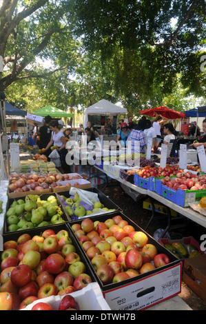 Pressione di stallo di frutta all'aperto mercato weeked nell'ombra di enormi alberi, West End, Brisbane, Queensland, Australia. No signor o PR Foto Stock