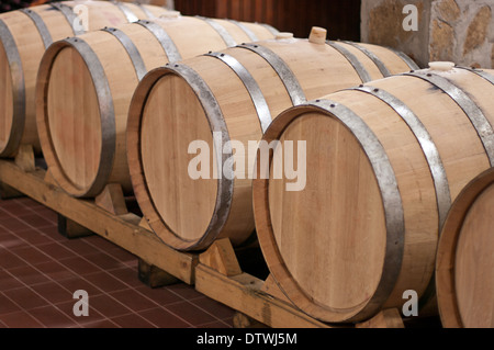 Botti di rovere in cui il vino matura in cantina. Foto Stock