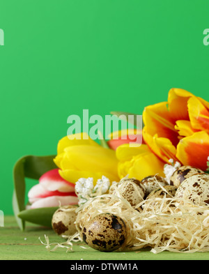 La pasqua ancora in vita con fiori di primavera tulipani e uova di quaglia su un sfondo di legno Foto Stock