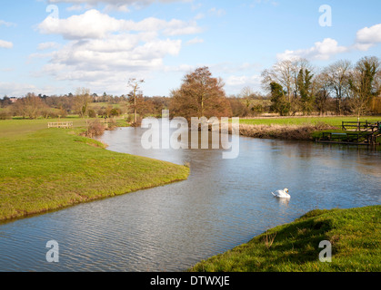 Un tributario che unisce il fiume Stour ad una confluenza delle acque a Dedham, Essex, Inghilterra Foto Stock