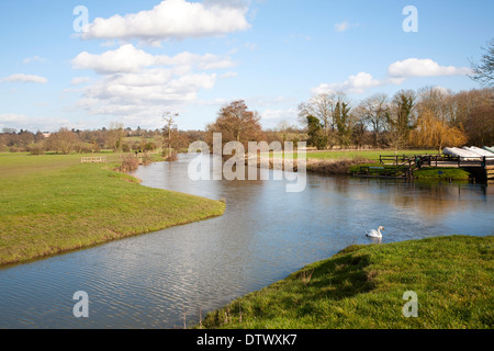 Un tributario che unisce il fiume Stour ad una confluenza delle acque a Dedham, Essex, Inghilterra Foto Stock