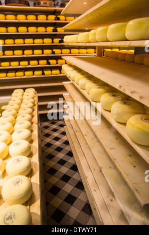 Caseificio di Volendam Olanda Foto Stock