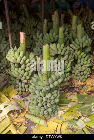 Le banane in vendita presso Dong Ba tonalità di mercato Foto Stock