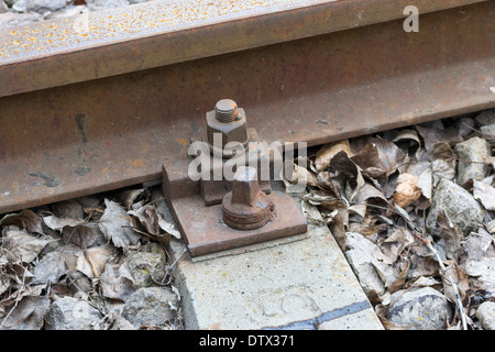 Binari ferroviari Foto Stock