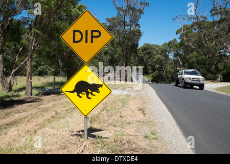 Diavolo della Tasmania cartelli stradali vicino a Marrawah, Arthur River, Tasmania Foto Stock