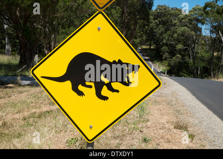 Diavolo della Tasmania cartelli stradali vicino a Marrawah, Arthur River, Tasmania Foto Stock