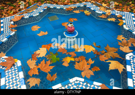 Il Parco Maria Luisa, stagno con foglie secche galleggianti in acqua, Siviglia, regione dell'Andalusia, Spagna, Europa Foto Stock