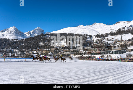 Gara di cavalli White Turf 2014 di fronte a St.Moritz Dorf, Svizzera Foto Stock