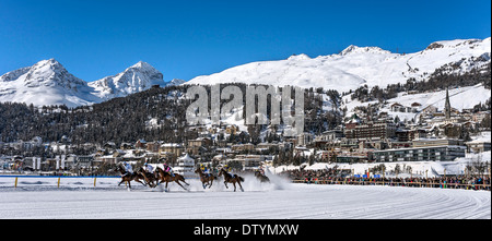 Gara di cavalli White Turf 2014 di fronte a St.Moritz Dorf, Svizzera Foto Stock