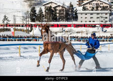 White Turf 2014 ski joering cavallo di razza di fronte St.Moritz Dorf, Svizzera Foto Stock