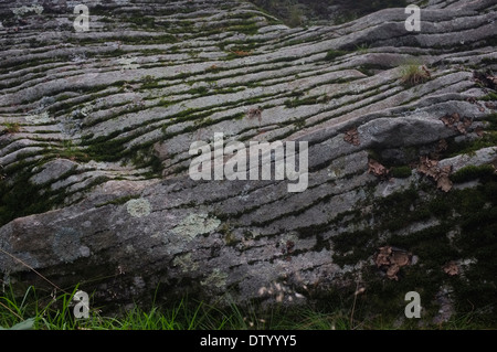 La pietra blu, rocce, strati, Catskills Mountains, Woodstock NY Foto Stock