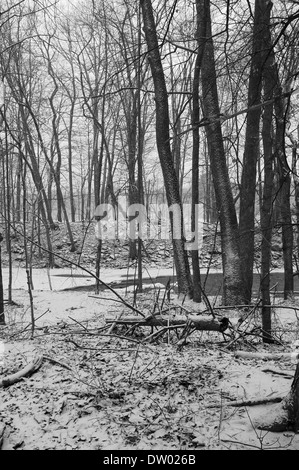 Boschi nella neve, Woodstock NY, Zena. Catskills Mountains, Hudson Valley, in bianco e nero Foto Stock