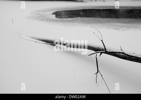 Boschi nella neve, Woodstock NY, Zena. Catskills Mountains, Hudson Valley, in bianco e nero Foto Stock