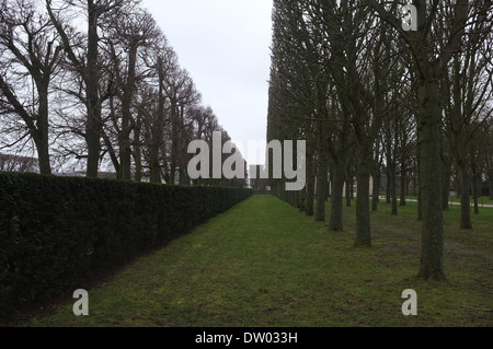 Palazzo a Sceaux, Parigi, taglio quadrato Topiaria da alberi Foto Stock