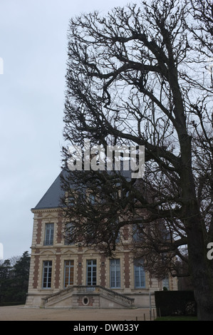 Palazzo a Sceaux, Parigi, taglio quadrato Topiaria da alberi Foto Stock