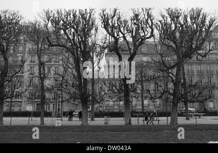 Giardini di Lussemburgo, Parigi, Francia, piazza alberi tagliati, nero e di Pentecoste Foto Stock