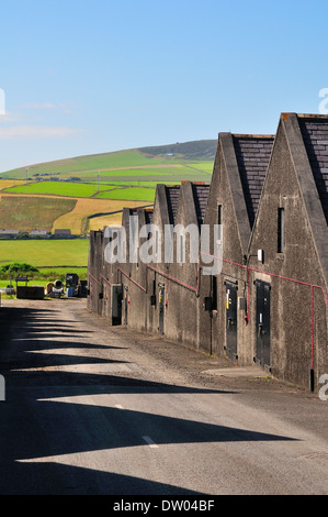 Magazzini di Highland Park Distillery, whisky distilery, Kirkwall, Continentale, Orkney, Scotland, Regno Unito Foto Stock