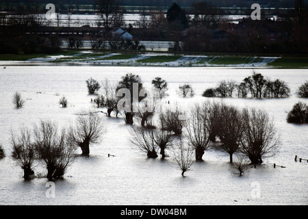 Inondazioni in Somerset livelli - con il fiume Parrett nuovi membri traboccante di distanza visualizzati da Burrow Mump Feb 2014 Foto Stock