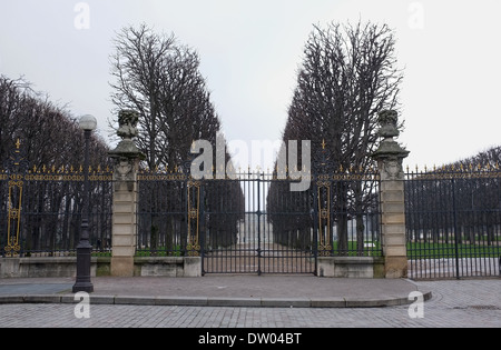 Giardini di Lussemburgo, alberi quadrati, Parigi, Francia Foto Stock