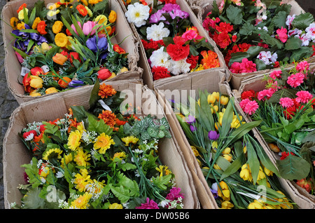 Coltivate colorati fiori recisi in scatole di cartone Foto Stock