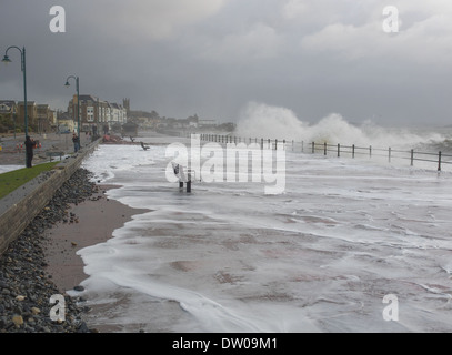 Penzance Promenade e il lungomare durante febbraio 2014 tempeste Foto Stock